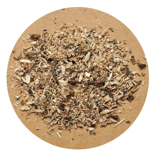 Dried Angelica Root