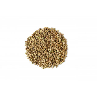 Hemp seed
