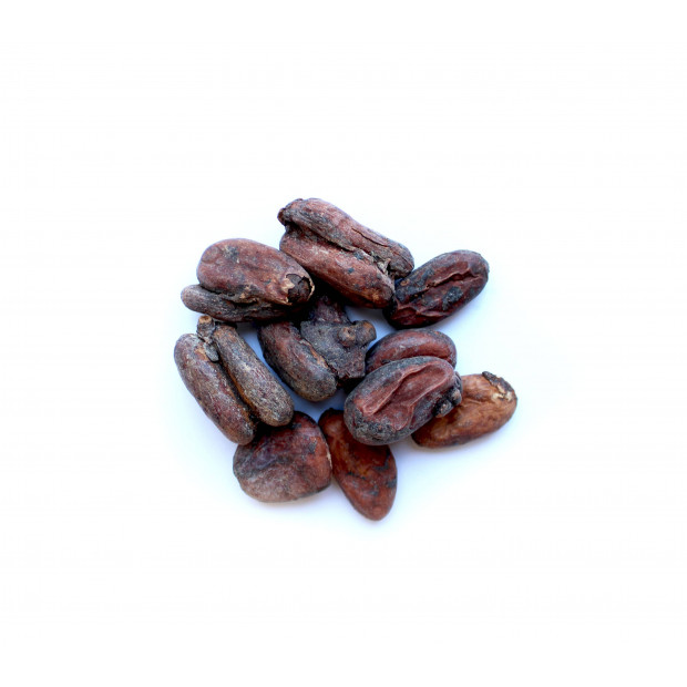 Roasted cocoa beans