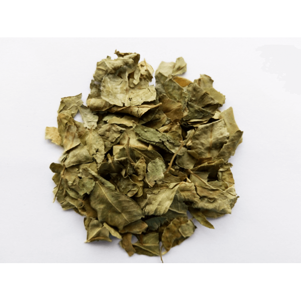 Curry leaves